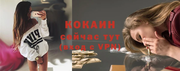 ешки Дмитриев