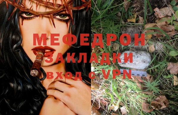ешки Дмитриев