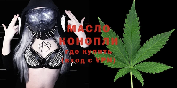 ешки Дмитриев
