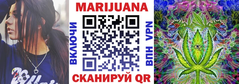 Купить закладки  Ленинск-Кузнецкий  Конопля SATIVA & INDICA 
